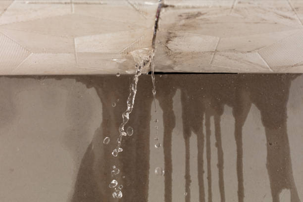 Professional Water Damage Restoration technician working in Woodworth, LA